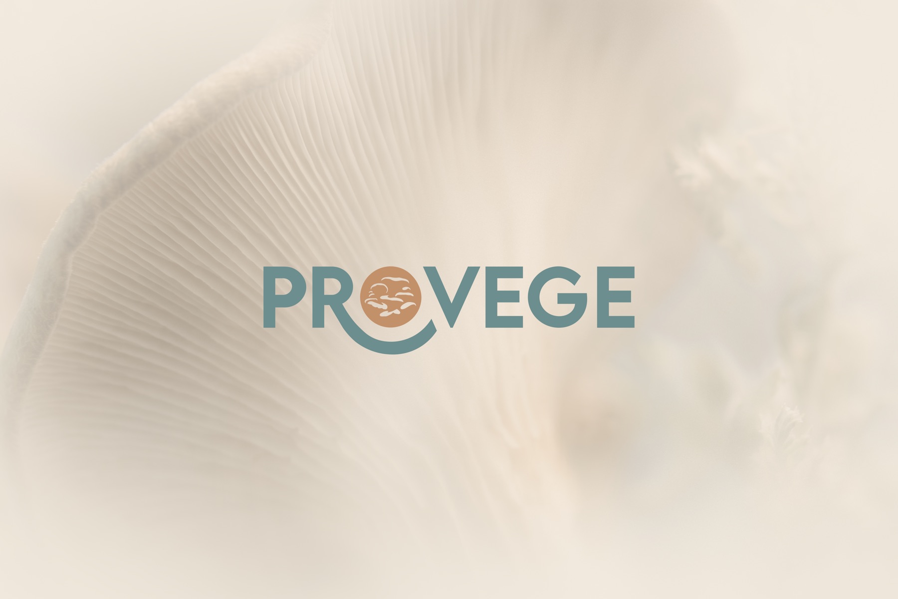 Provege